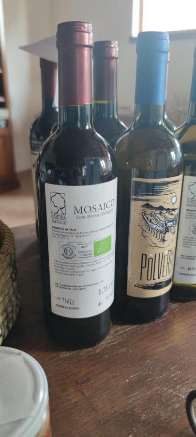 Barbarano Romano Il Casale Del Popolo 빌라 외부 사진